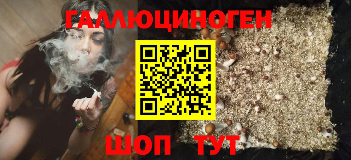 НБОМе Магнитогорск