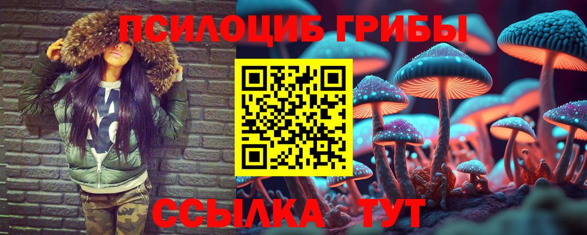 Магнитогорск  Псилоцибиновые грибы мухоморы  Вход с VPN  Псилоцибиновые грибы прущие грибы 