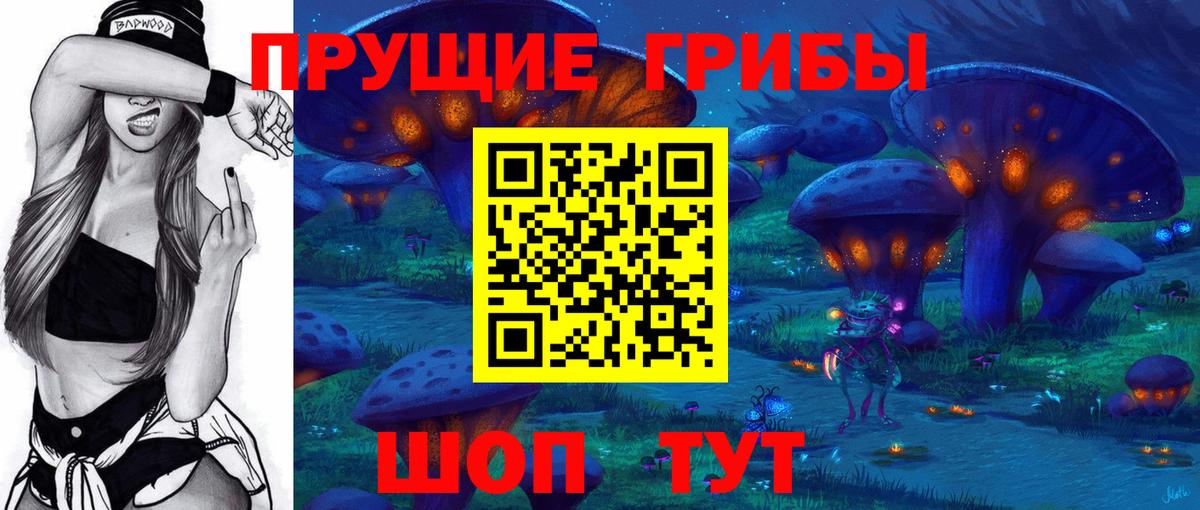 Псилоцибиновые грибы мицелий Магнитогорск